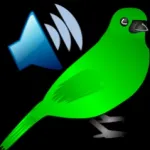 Birds Calls Sounds Icon