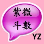 ZiWeiDouShu Icon