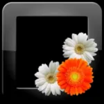 PhotoFrames Pro Icon