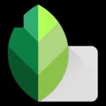 Snapseed Icon