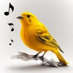 Bird Calls, Sounds & Ringtones Icon