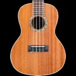 My Ukulele - Solo & Chords Icon