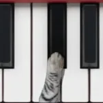 Cat Piano Icon