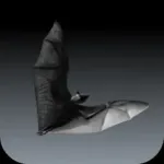 Bat Sounds Icon