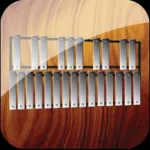Professional Xylophone Icon