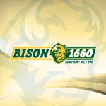 Bison 1660 Icon
