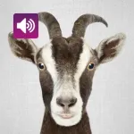 Goat: Sound & Ringtones Icon