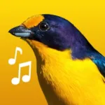 Birdsong Brazil Icon