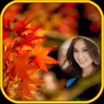 Colorfull Autumn Photo Frames Icon