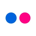 Flickr Icon