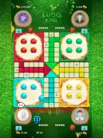 Ludo King Icon