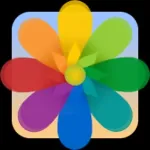Flowers PhotoFrames Icon