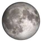 Phases of the Moon Icon