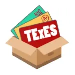 TExES Flashcards Icon