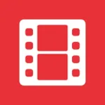 DS video Icon