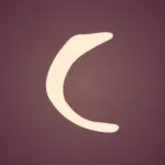 Coachella Official Icon