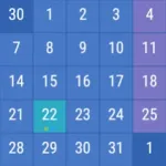 Calendar Widget KEY Icon