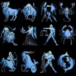 Signs of the Zodiac Icon
