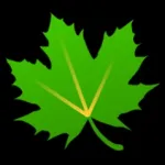 Greenify (Donation Package) Icon
