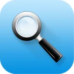 Quick Search Widget Icon