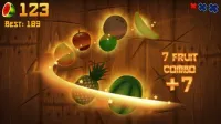 Fruit Ninja(R) 3.84.2 Screenshot