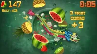 Fruit Ninja(R) 3.84.2 Screenshot