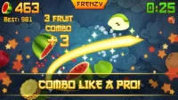 Fruit Ninja(R) 3.84.2 Screenshot