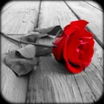 Photo Art - Color Effects Icon