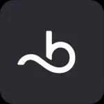 Booksy Biz: For Businesses Icon