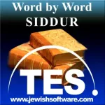 Hebrew Siddur Reader Icon