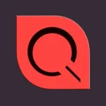 Vector Q by Imaengine Icon