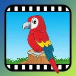 Video Touch - Wild Birds Icon