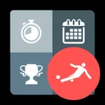 Football Denmark Icon