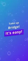 Fun Bridge Icon