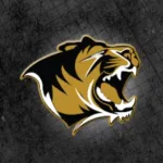 Bentonville Tiger Athletics Icon
