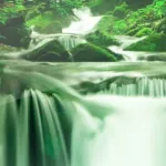 Wallpapers Nature Icon