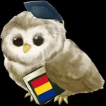 Learn Romanian Icon
