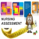 NURSING ASSESSMENT. Icon