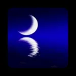 Water Reflection Pro Icon