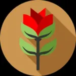 Joanna de Ângelis Icon