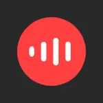 Vsmart Sound Recorder Icon