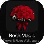 Rose Magic - Flower Rose Wallp Icon