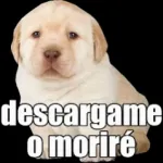 Stickers del Perrito Triste Icon