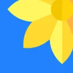 Gallery - Photo Album Icon