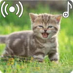Cat Sounds Ringtone Icon