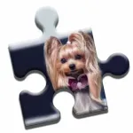 Yorkshire Terrier Puzzle Icon
