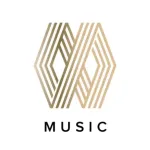 Mayweather Music Icon