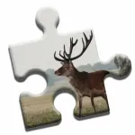 Deer Love Puzzle Icon