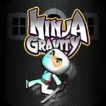Ninja Gravity Icon