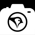 Sparrow Capture Icon